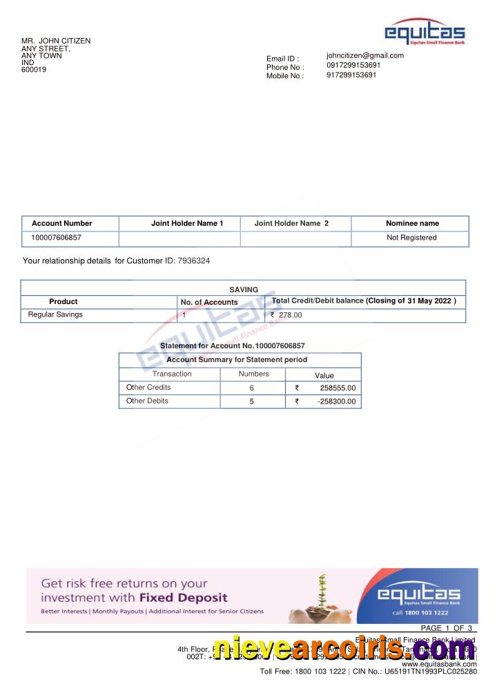 INDIA EQUITAS bank statement, Word and PDF format